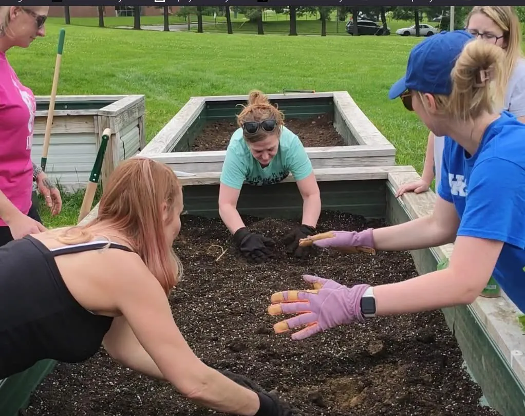 Boyle County SAP & Community Impact